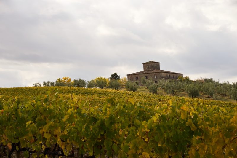 Agriturismo: How to Choose and Experience Italy Best Farm Stays