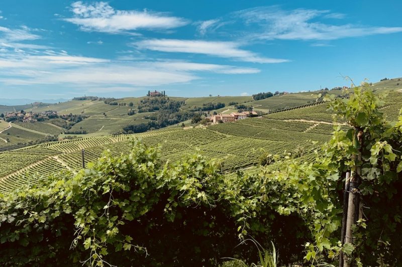 Barolo: Understanding the King of Italian Wines