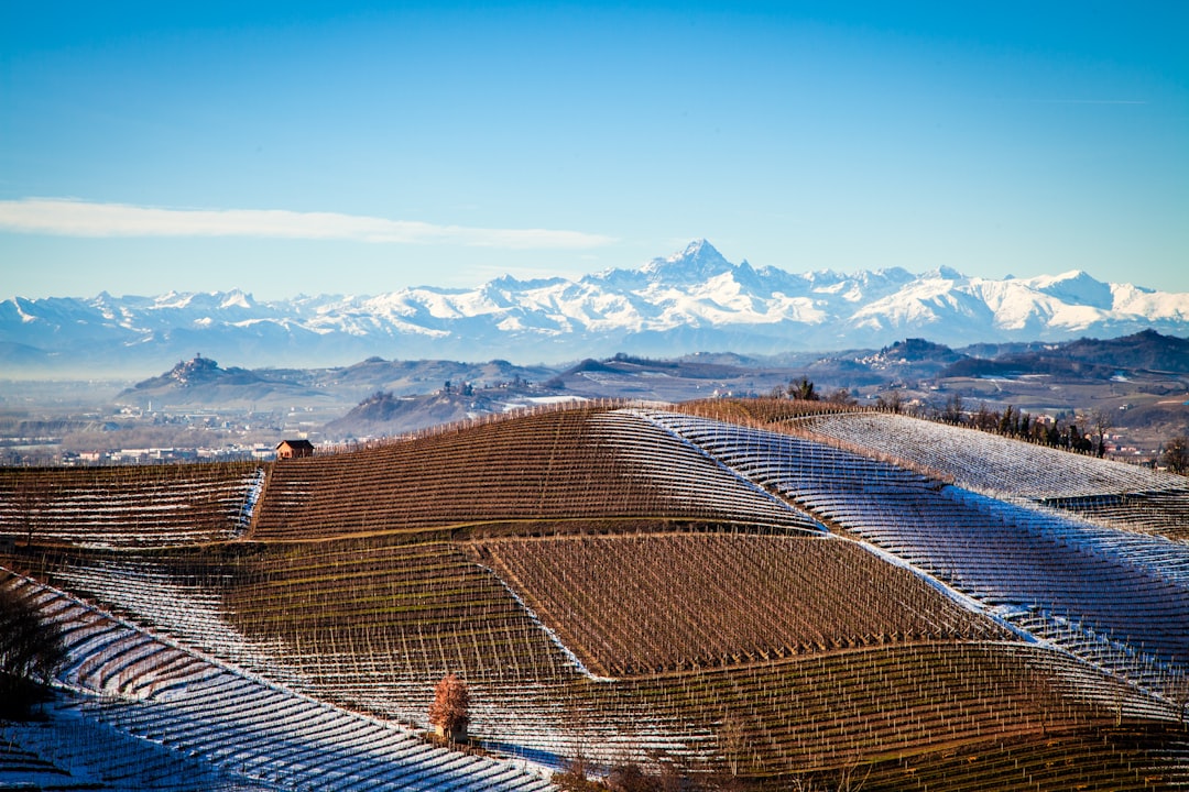 Barolo red wine glass with Langhe hills vineyard autumn landscape in background