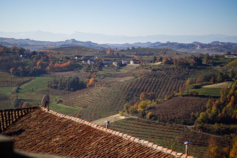 Piedmont’s Langhe: More Than Just Wine Country