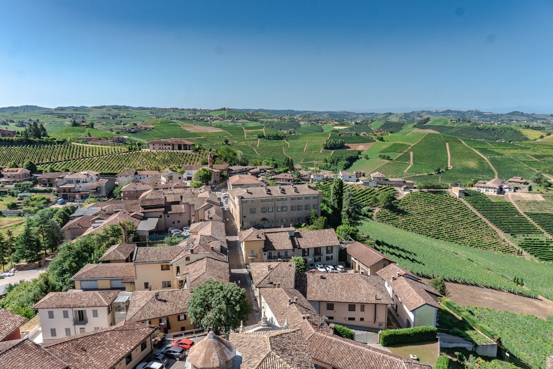 Rolling vineyard hills of Piedmont Langhe region in autumn