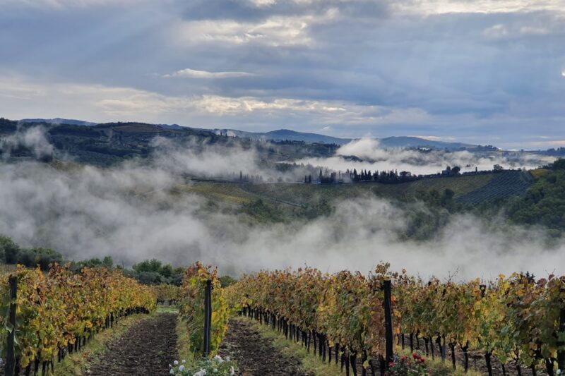 Wine Estate Stays in Chianti: Sleeping Where the Wine Is Made