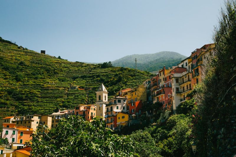 The Cartoceto Line: Renaissance Frescoes and Forgotten Civic Art in the Marche Uplands