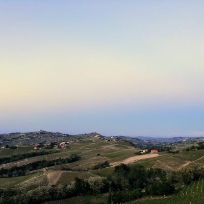 Cycling the Langhe: Gravel Roads, Vine Rows, and the Discipline of Going Slowly