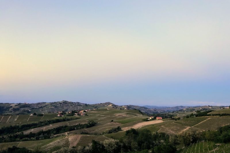Cycling the Langhe: Gravel Roads, Vine Rows, and the Discipline of Going Slowly