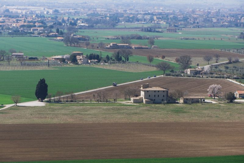 Before You Book a Masseria: What the Brochure Doesn’t Prepare You For