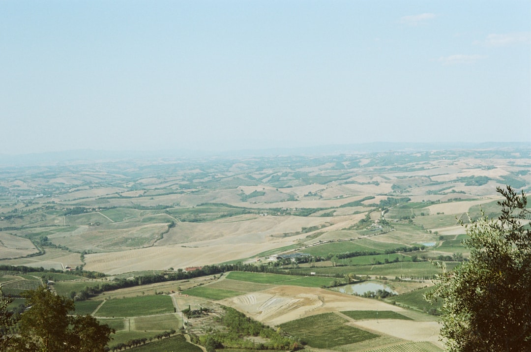 Vast flat Apulian plateau with olive groves and agricultural landscape, Puglia