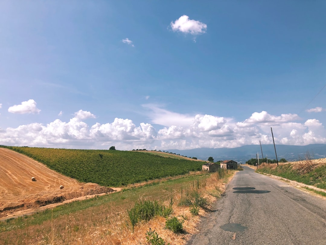 Ancient vineyard terraces above the Ionian coast in the Ciro DOC zone, Calabria