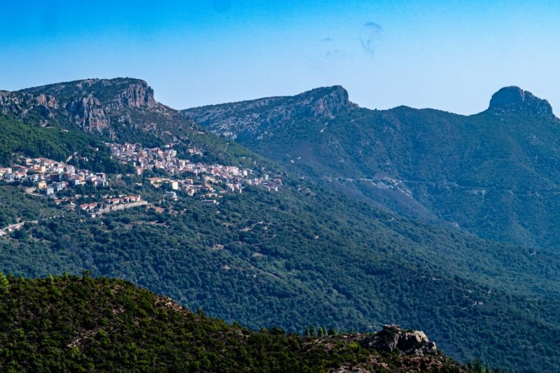 Cannonau and the Long Life: What Sardinia’s Wine Country Says About Time
