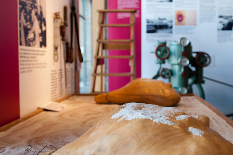 Where Parma’s Landscape Becomes a Larder: The Food Museums of a Province Like No Other
