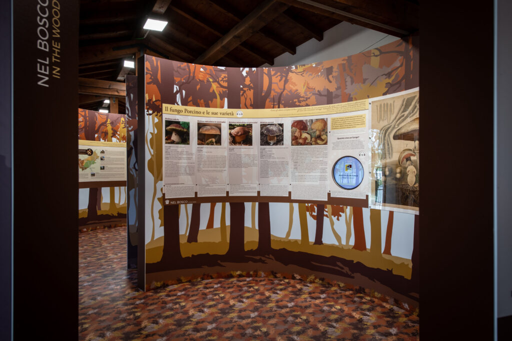 Musei del Cibo della provincia di Parma