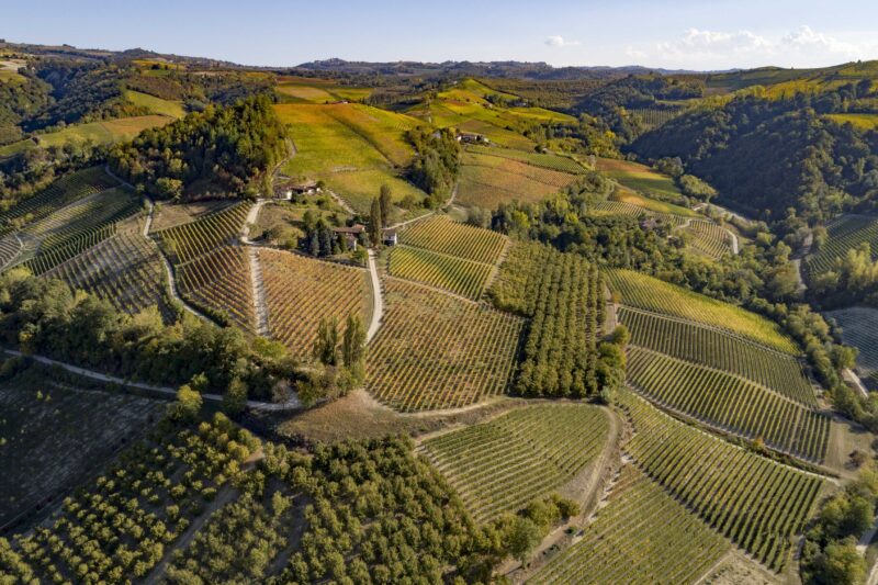 Three Centuries in the Glass: How the Colla Family Shaped the Soul of Piedmontese Wine